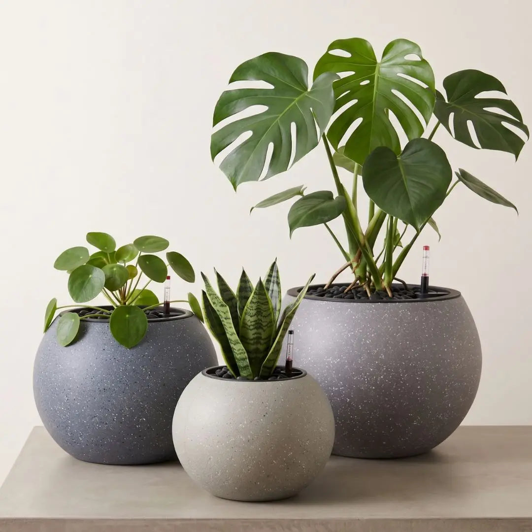 Domi Premium Plastic Self Watering Flower Pot Speckled Space