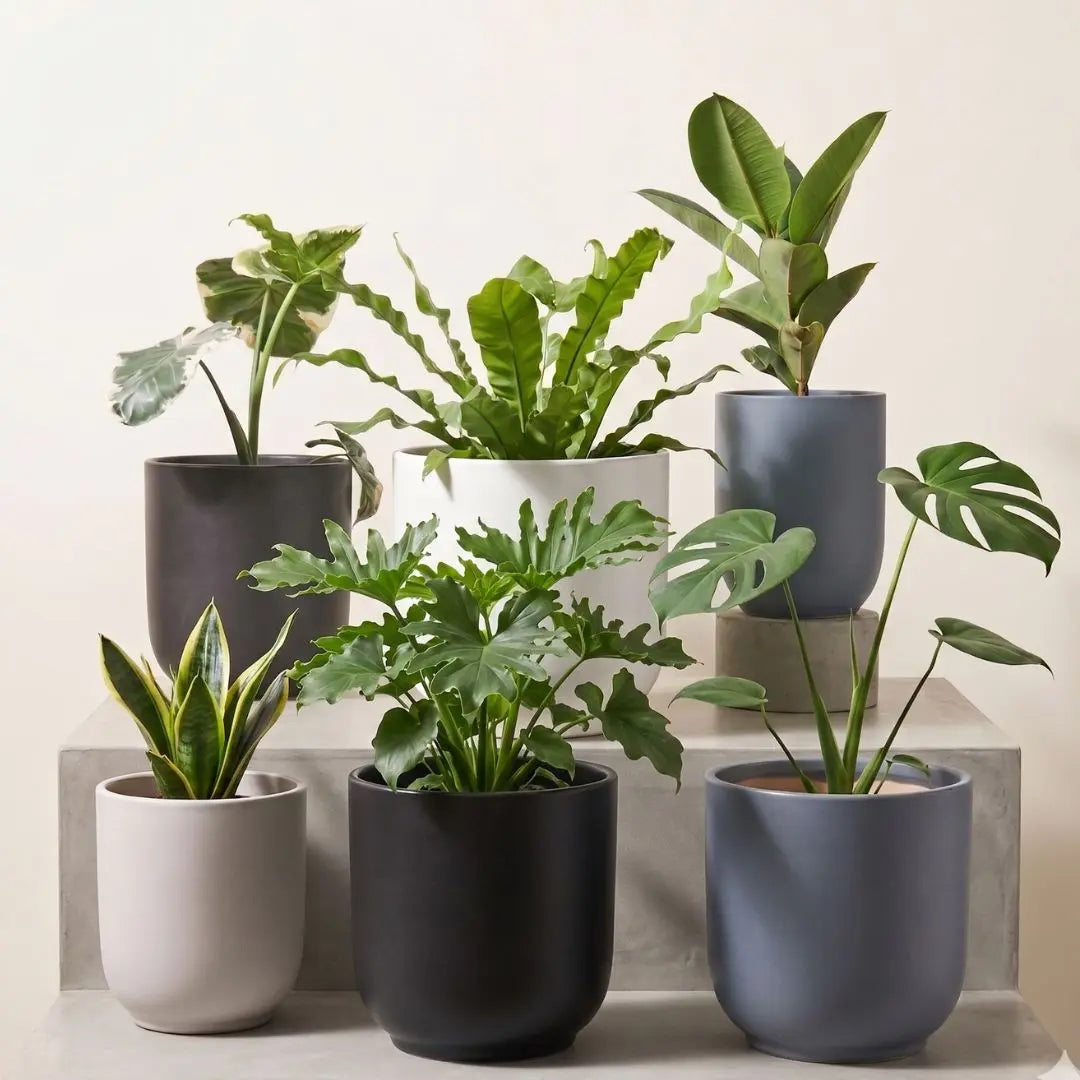 Modern Ceramic Plain Coloured Flower Pot My Store