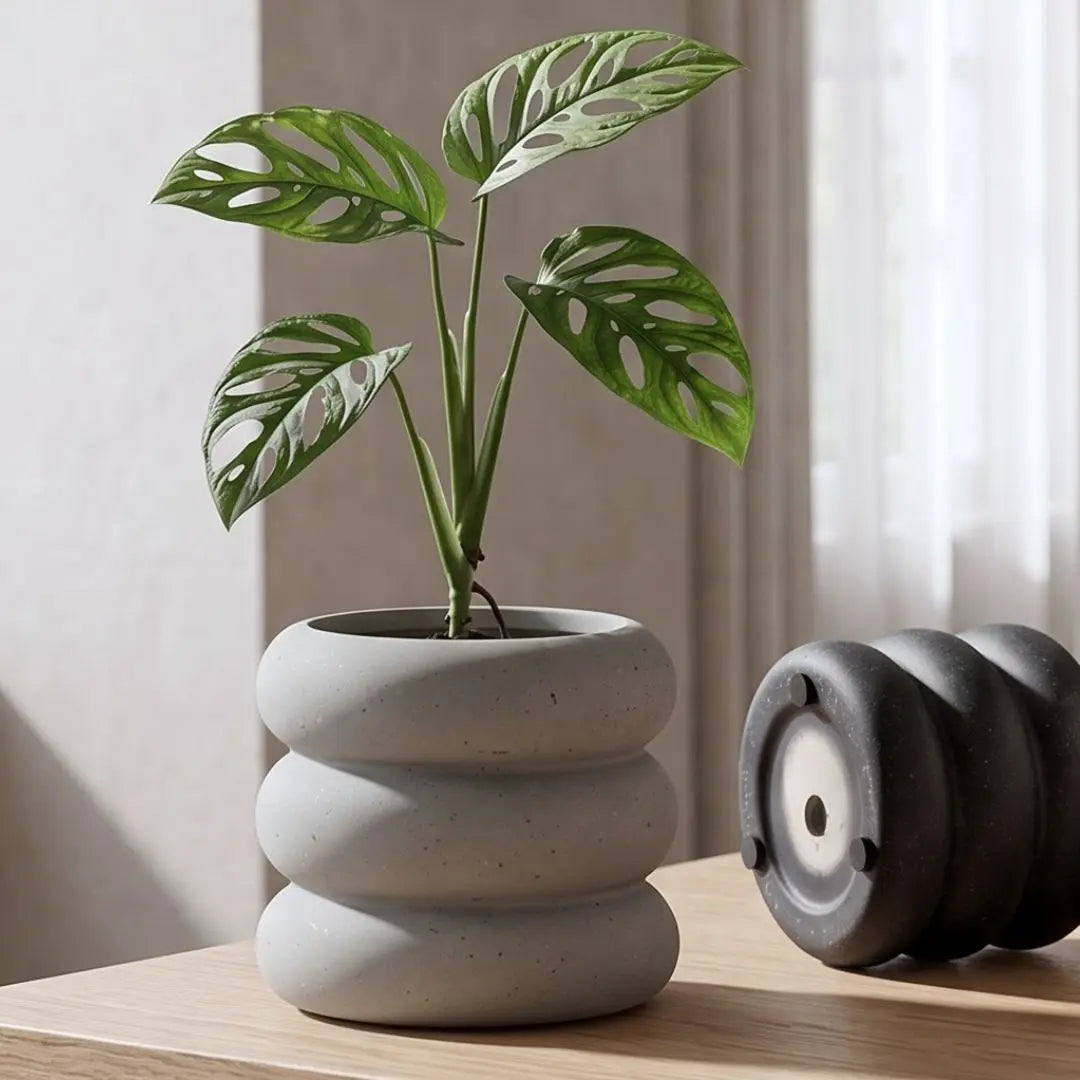 Fahlmain Ceramic Flower Pot Small & Medium Flower Pot Speckled Space