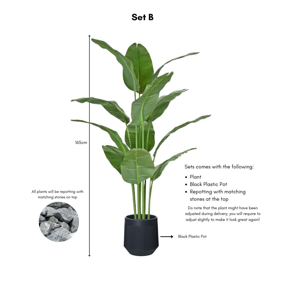 Faux Banana Leaf / Ravenala Plant - 160cm