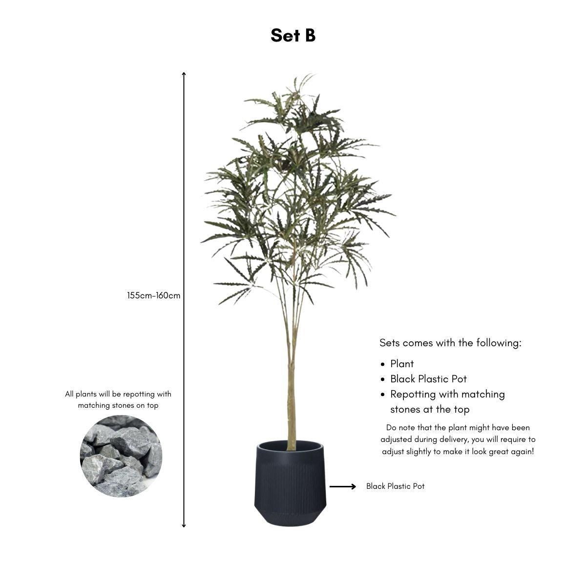 Faux False Aralia Plant