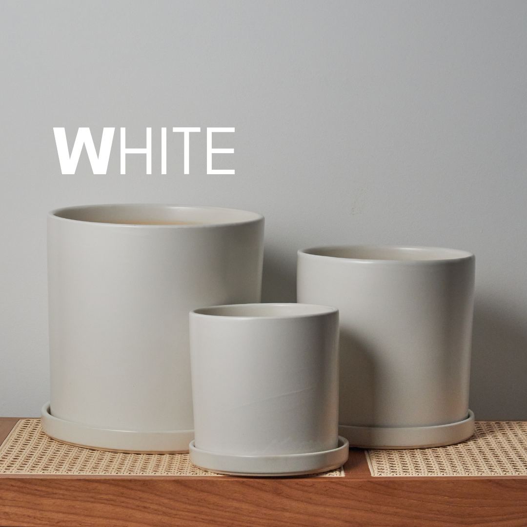 Benedic Ceramic Flower Pot