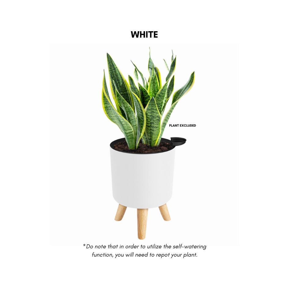 Elevated Plastic Self-Watering Flower Pot