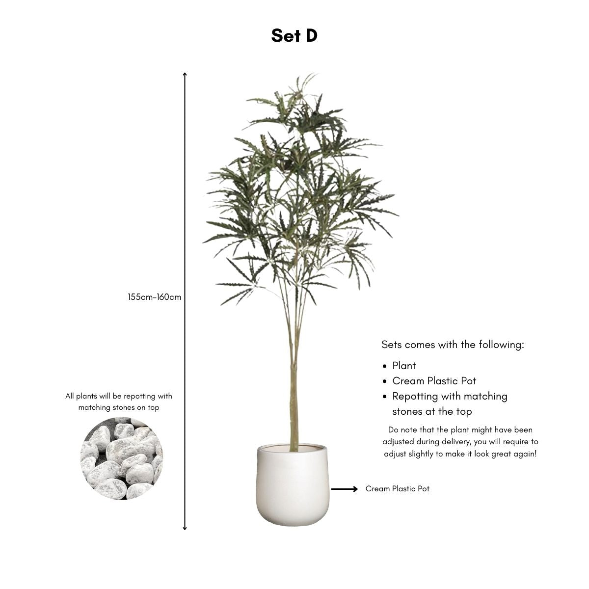 Faux False Aralia Plant