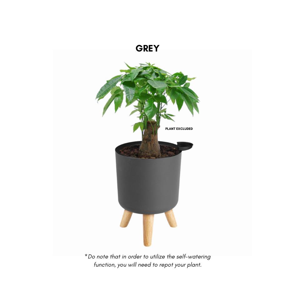 Elevated Plastic Self-Watering Flower Pot