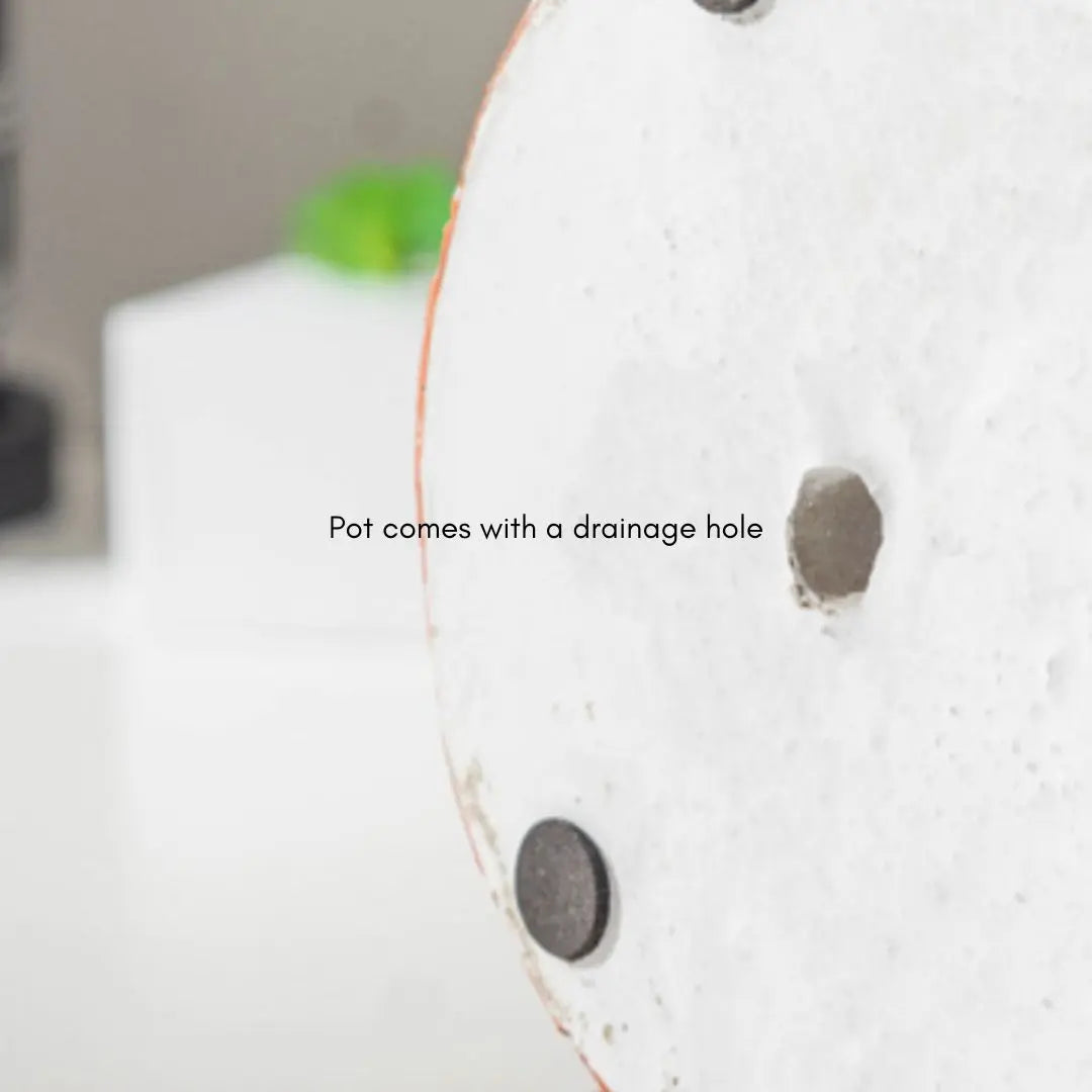 Dionne Concrete Flower Pot Speckled Space