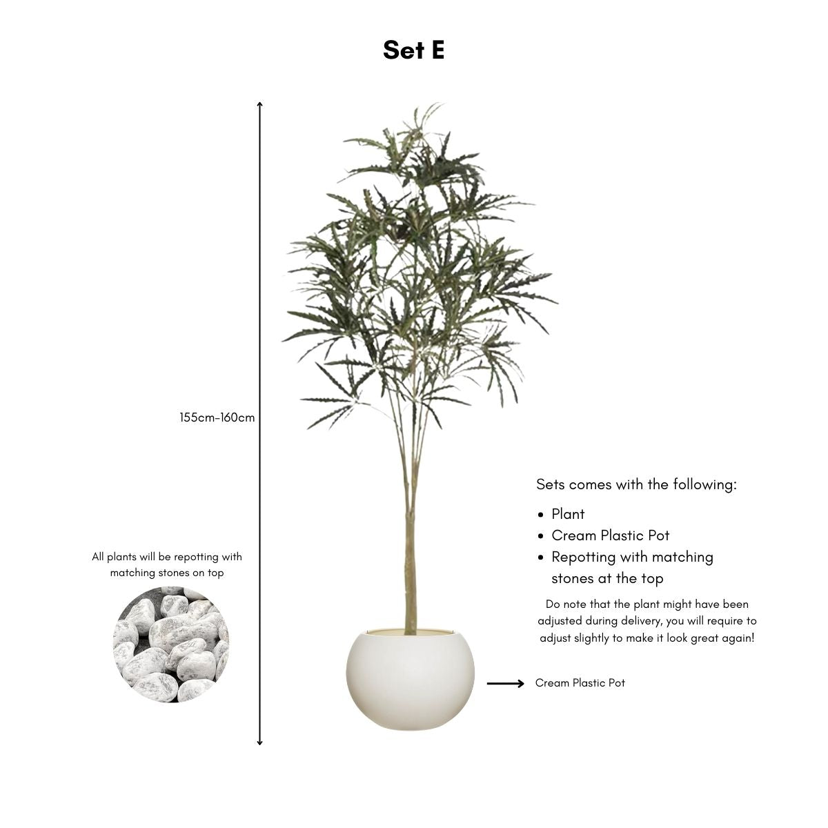 Faux False Aralia Plant