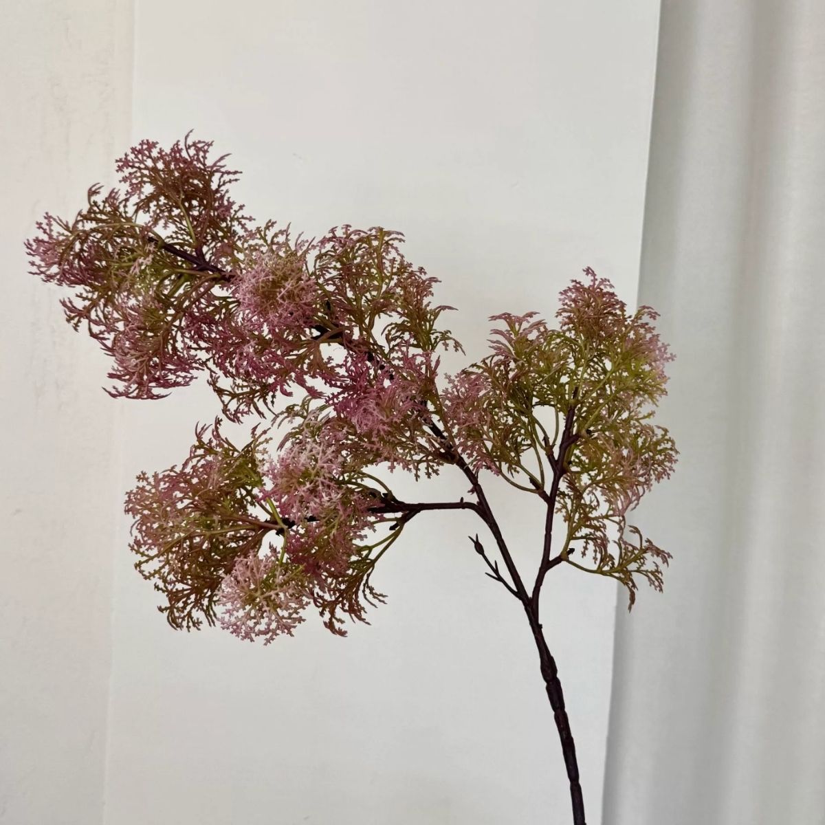 Faux Asparagus Macowanii Branch - Dark Pink