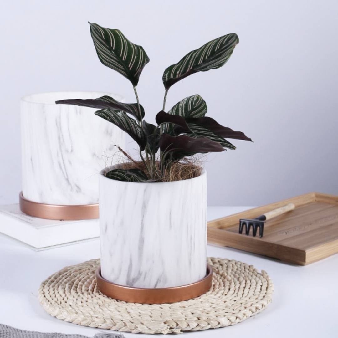 Mobie Marble White Ceramic Flower Pot