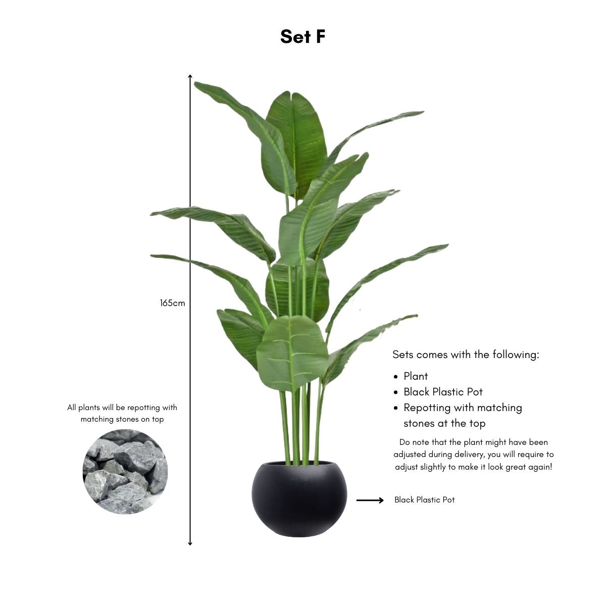 Faux Banana Leaf / Ravenala Plant - 160cm