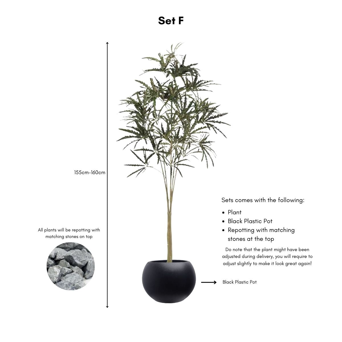 Faux False Aralia Plant