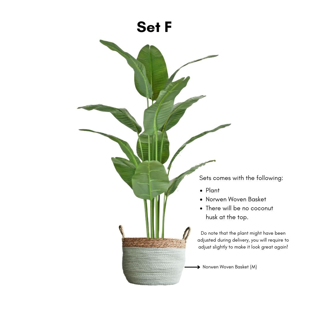 Artificial Bird of Paradise by