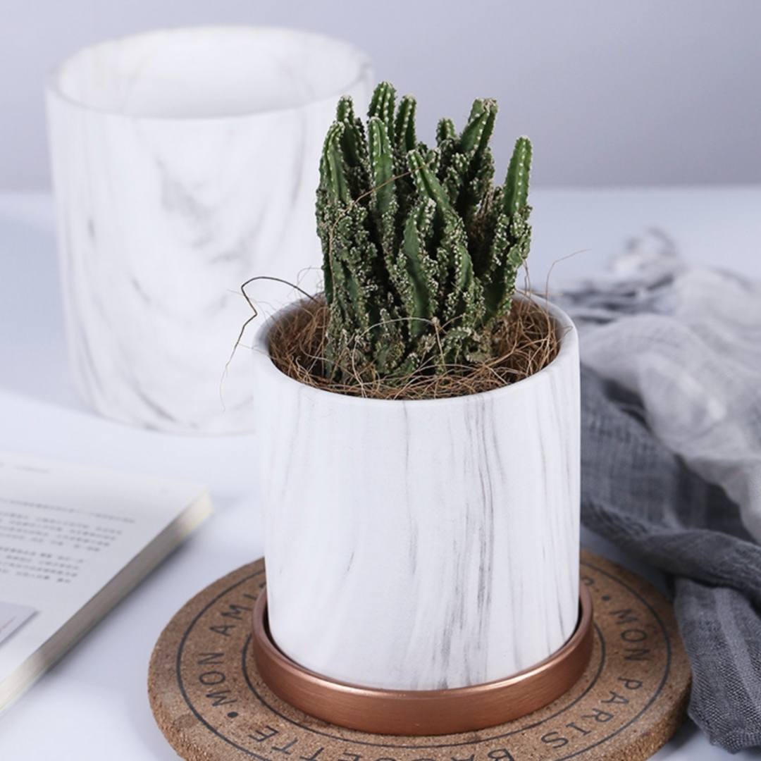 Mobie Marble White Ceramic Flower Pot