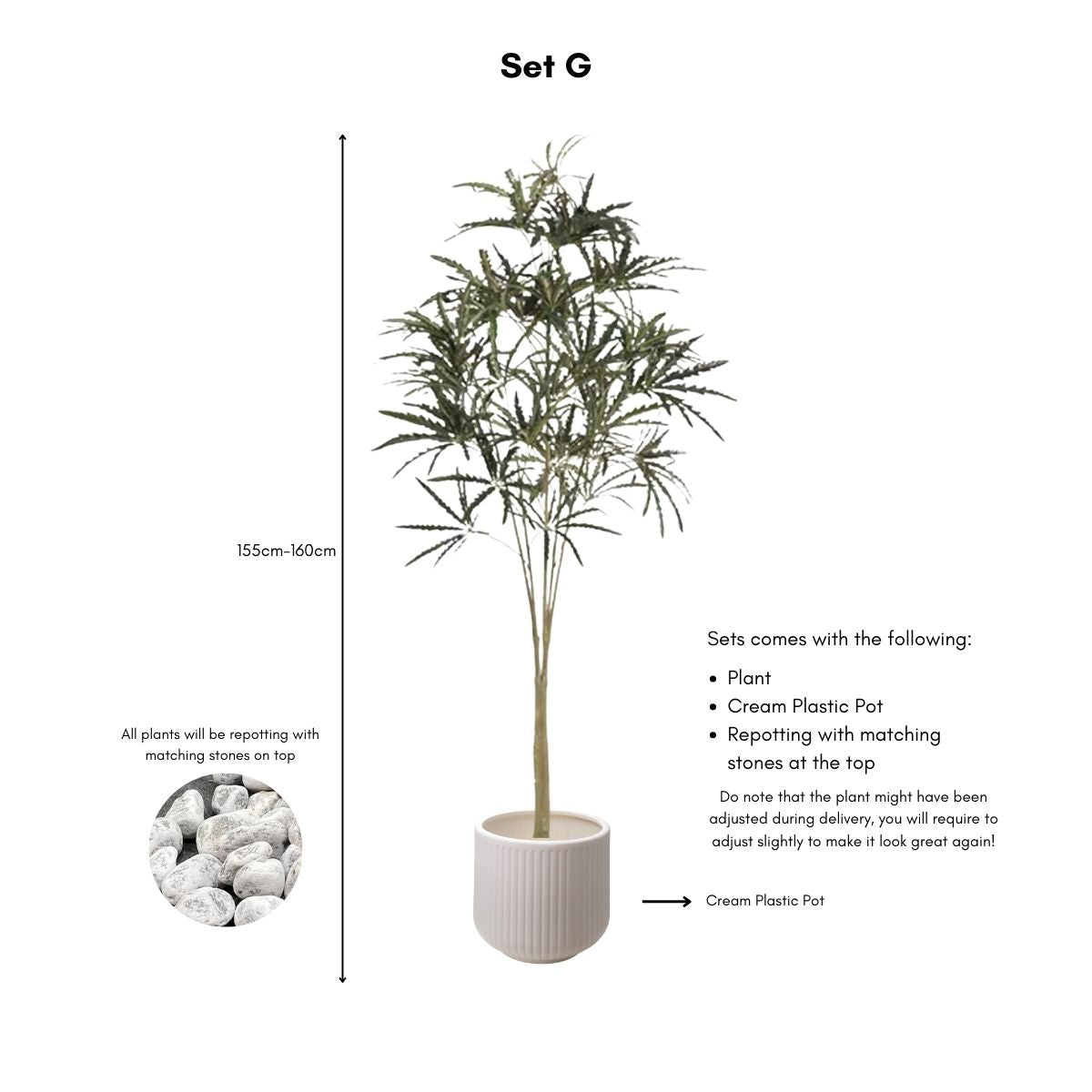 Faux False Aralia Plant