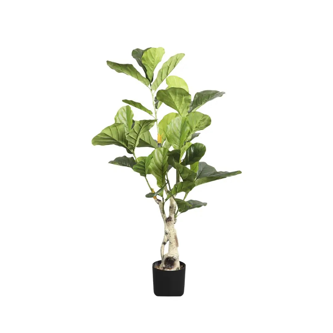 Artificial Ficus Plant - 115cm-Speckled Space