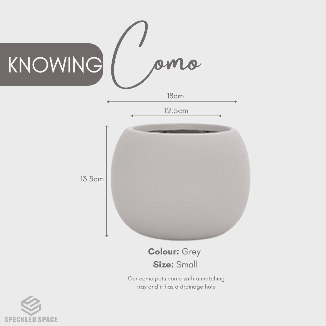 Como Ceramic Flower Pot