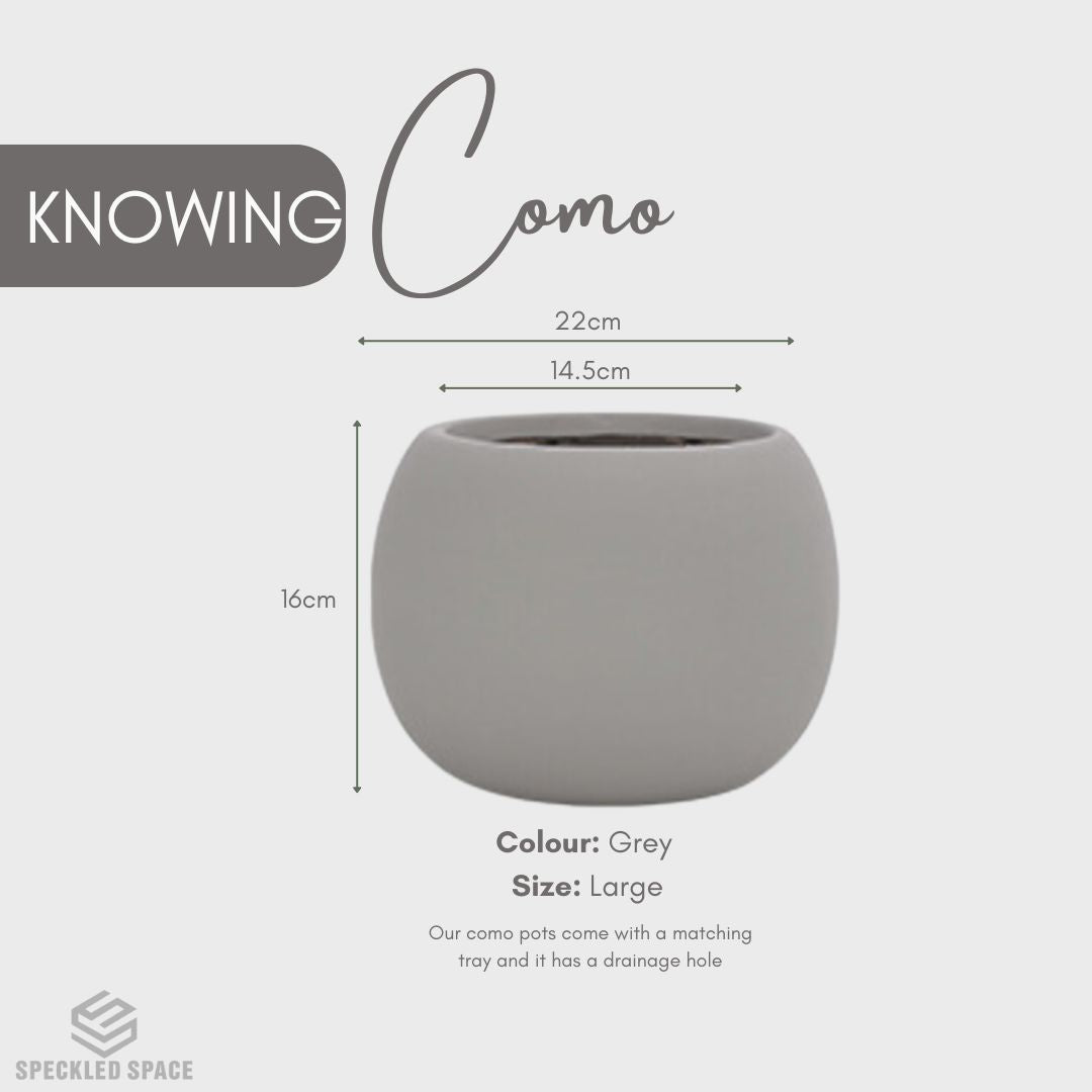 Como Ceramic Flower Pot