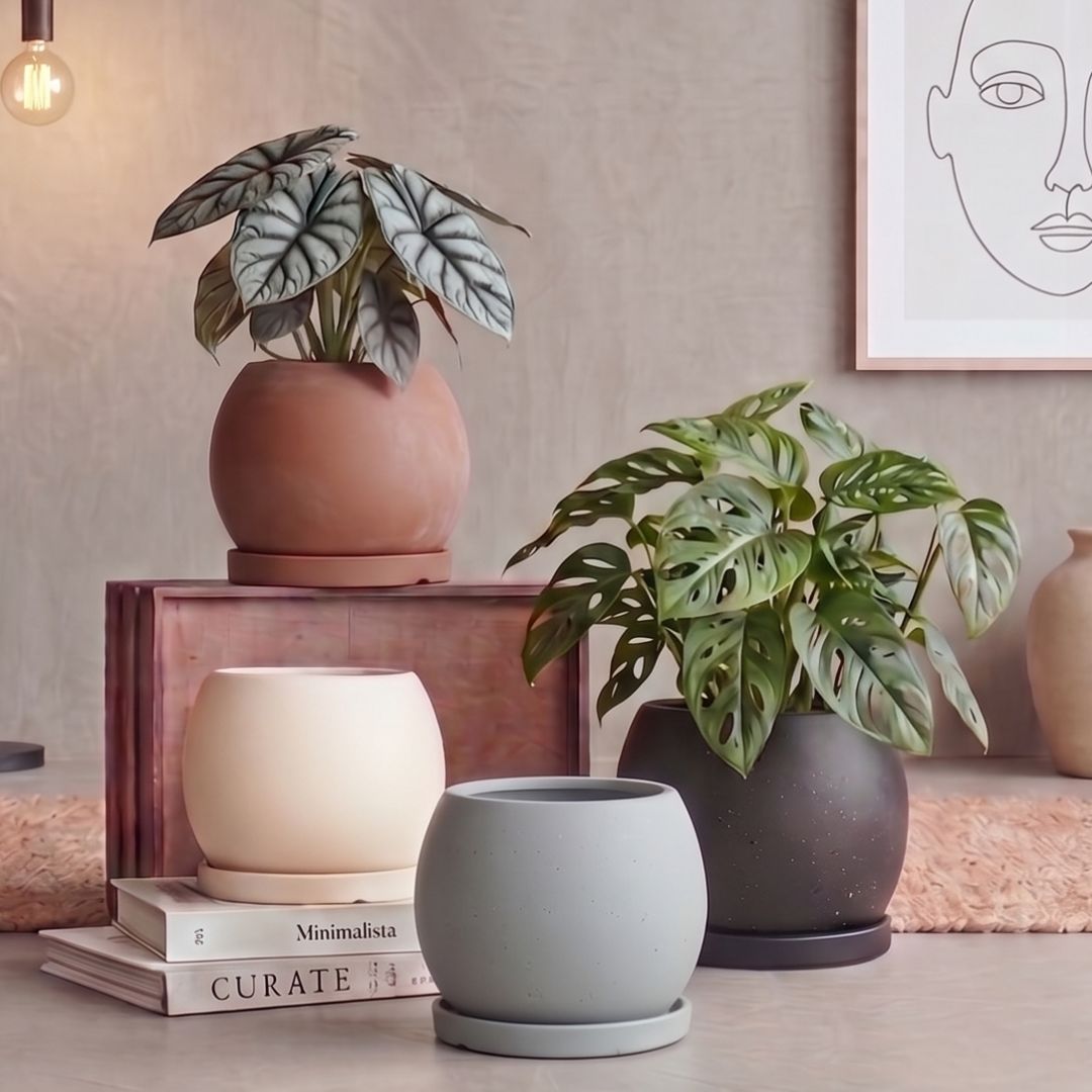 Como Ceramic Flower Pot