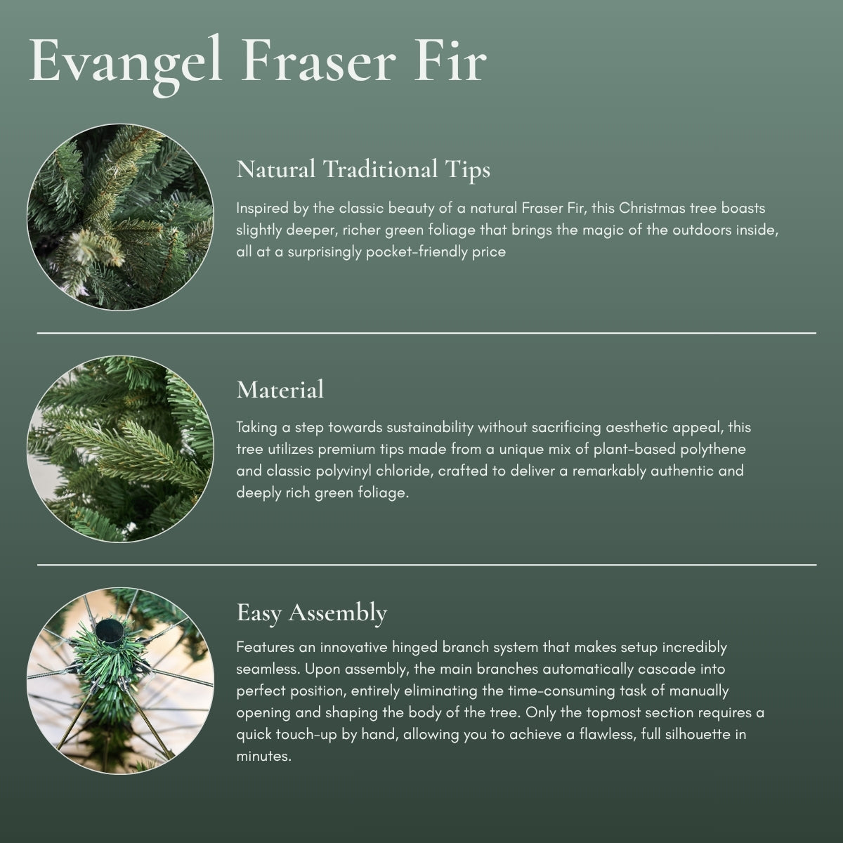 Infographic detailing the features of the Evangel Fraser Fir Christmas Tree, including natural traditional tips, premium eco-friendly materials, and a seamless hinged easy assembly system. The ideal focal point for an HDB or condo, outperforming competitors selling Christmas trees in Singapore like Vanda Win.