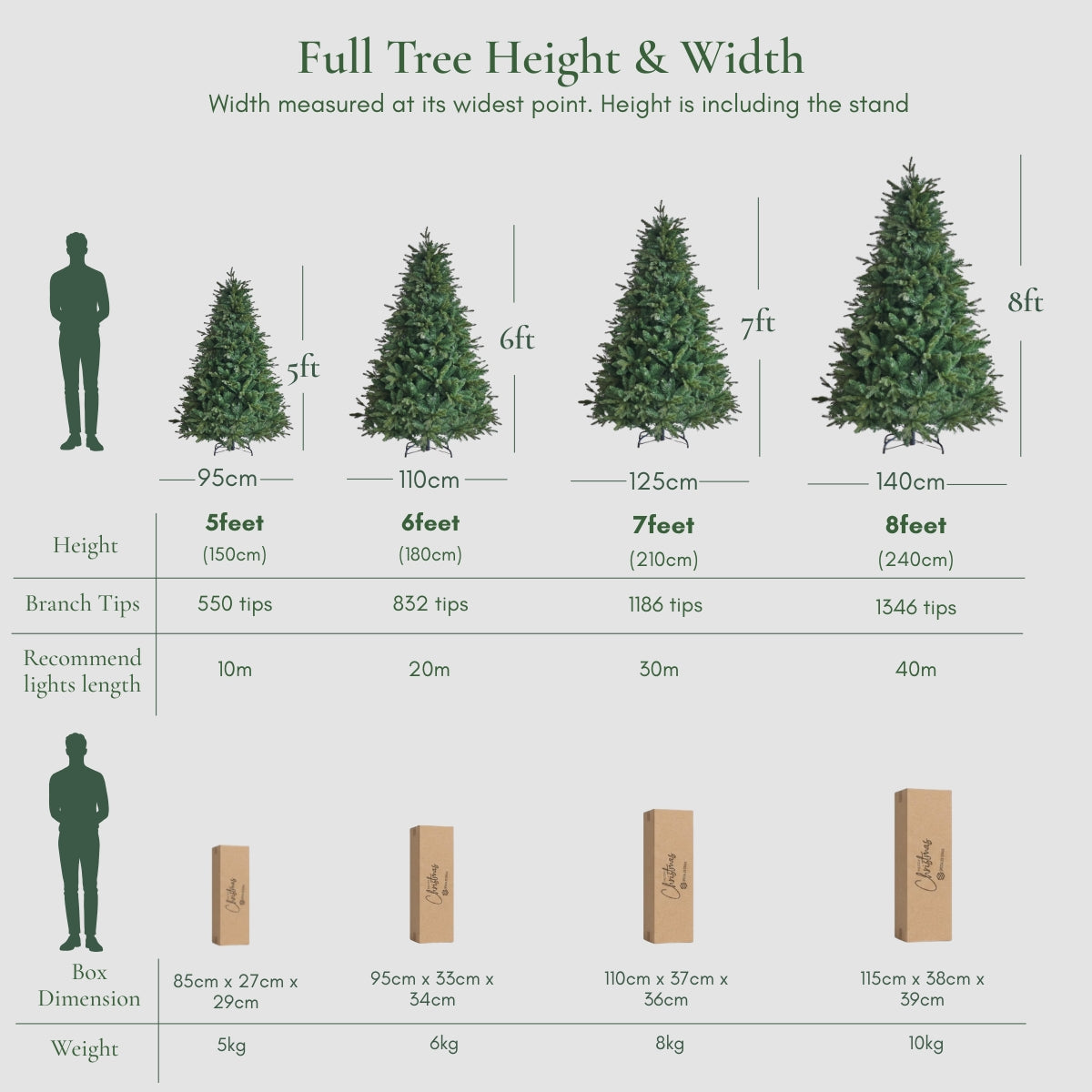 Size and dimension guide for the Evangel Fraser Fir Christmas Tree, available in 5ft, 6ft, 7ft, and 8ft to suit any Singapore HDB or condo ceiling height. Easily compare our full tree widths and compact box storage with other competitors selling Christmas trees in Singapore.