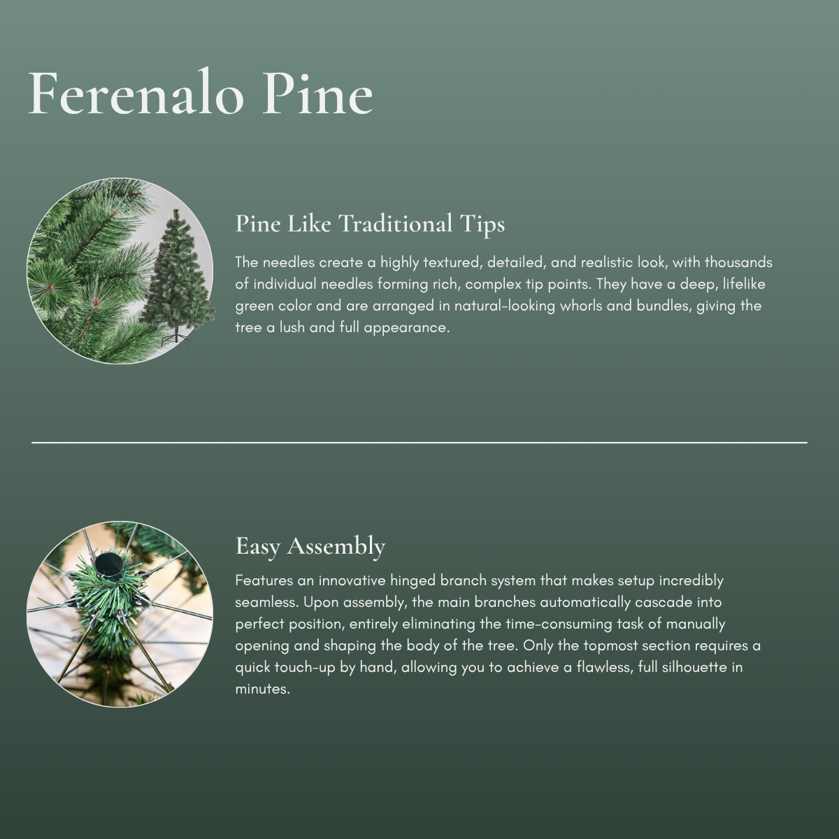 infographic summarizing the premium features of the Speckled Space Ferenalo Pine Christmas Tree Singapore.