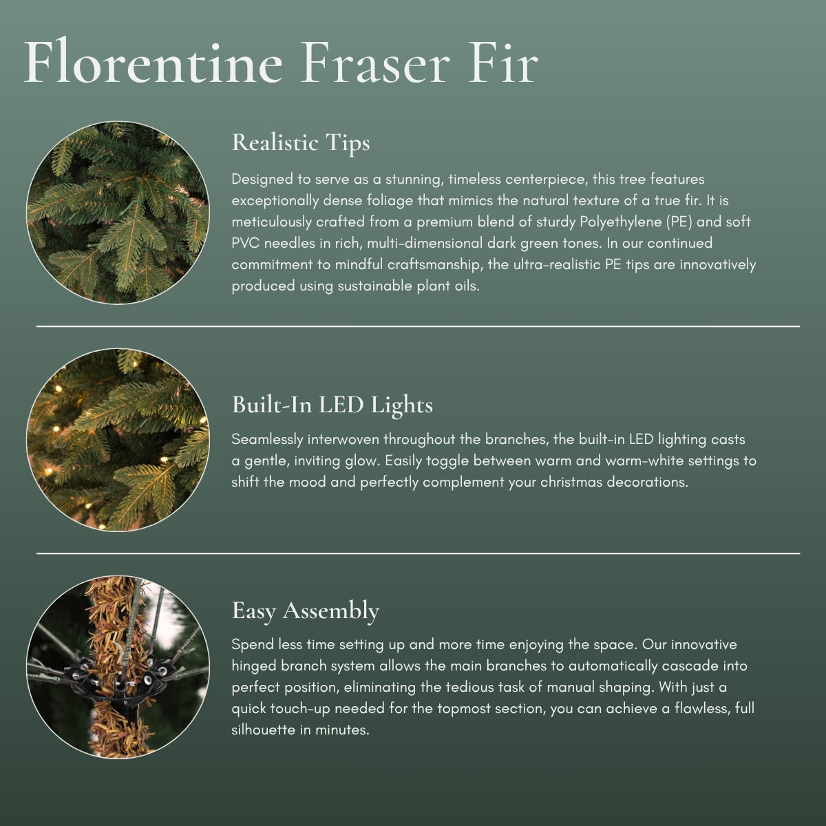 Infographic highlighting the Florentine Fraser Fir features: realistic tips, built-in LED lights, and easy assembly hinged branches. A top-tier alternative to Masons Home Decor in Singapore