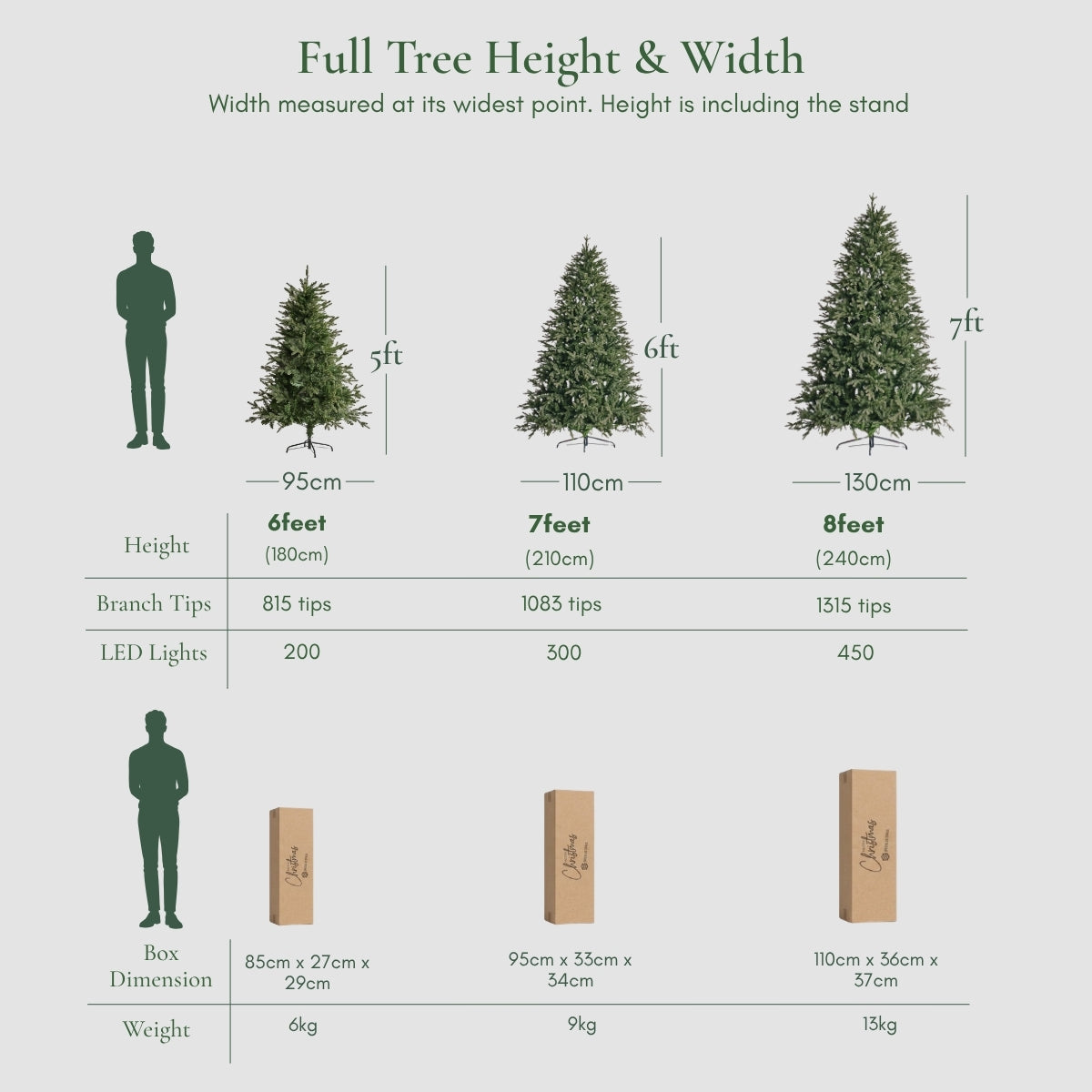 Size and dimension guide for the Florentine Fraser Fir Christmas tree, including heights, branch tips, LED light counts, and box weights. Competing with Masons Home Decor in Singapore.