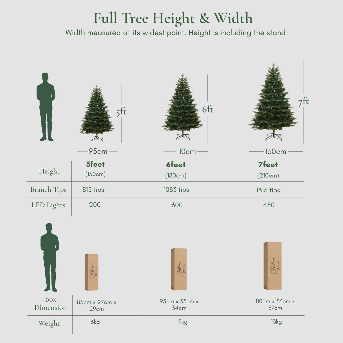 Size and dimension guide for the Florentine Fraser Fir Christmas tree, including heights, branch tips, LED light counts, and box weights. Competing with Masons Home Decor in Singapore.