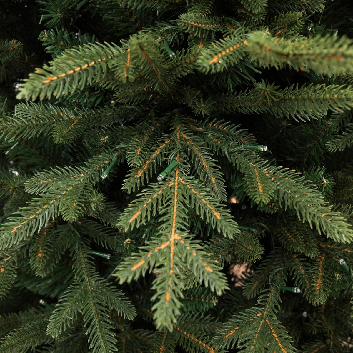 Detailed close-up of the pre-lit warm white LED lights on a section of the Natale Fraser Fir Pre-Lit LED Christmas Tree, highlighting the natural color of the needles and the Plug and Play convenience