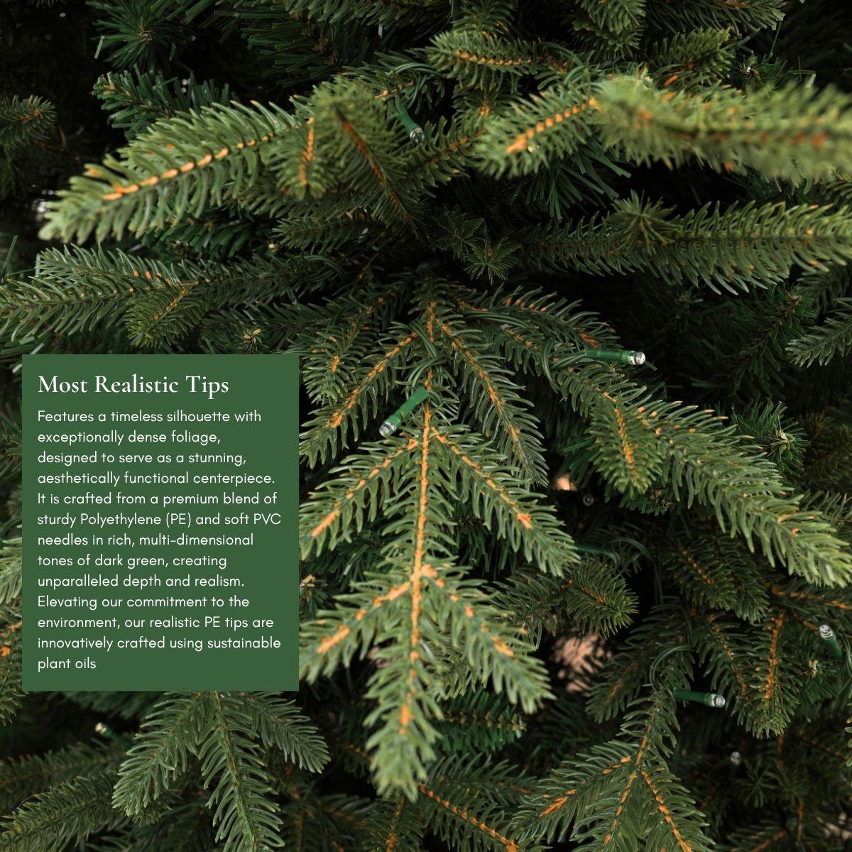 Detailed close-up of the branch tips on a section of the Natale Fraser Fir Pre-Lit LED Christmas Tree, highlighting the natural color of the needles and the Plug and Play convenience