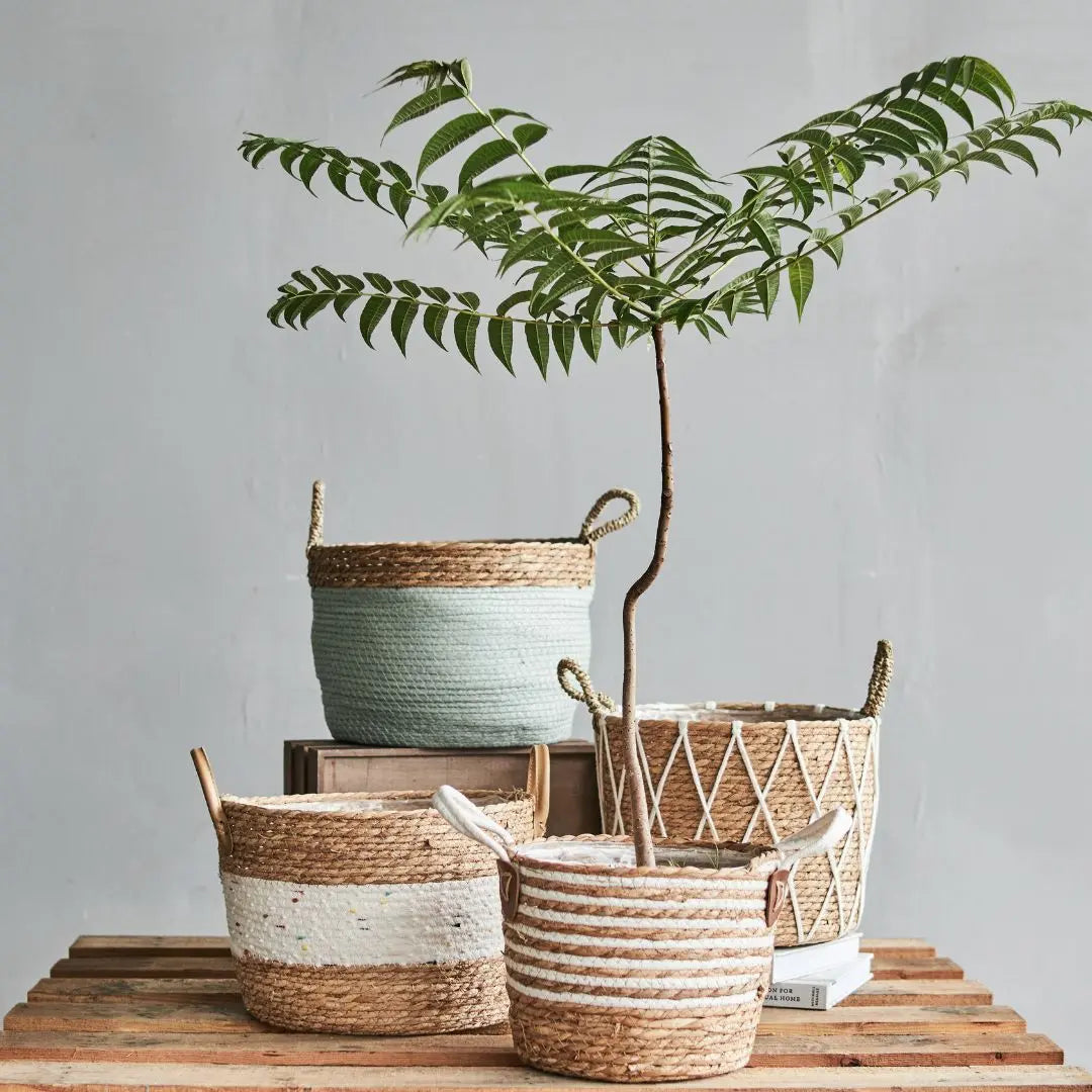 Magdalano Hand Made Seagrass Woven Plant Basket-Speckled Space