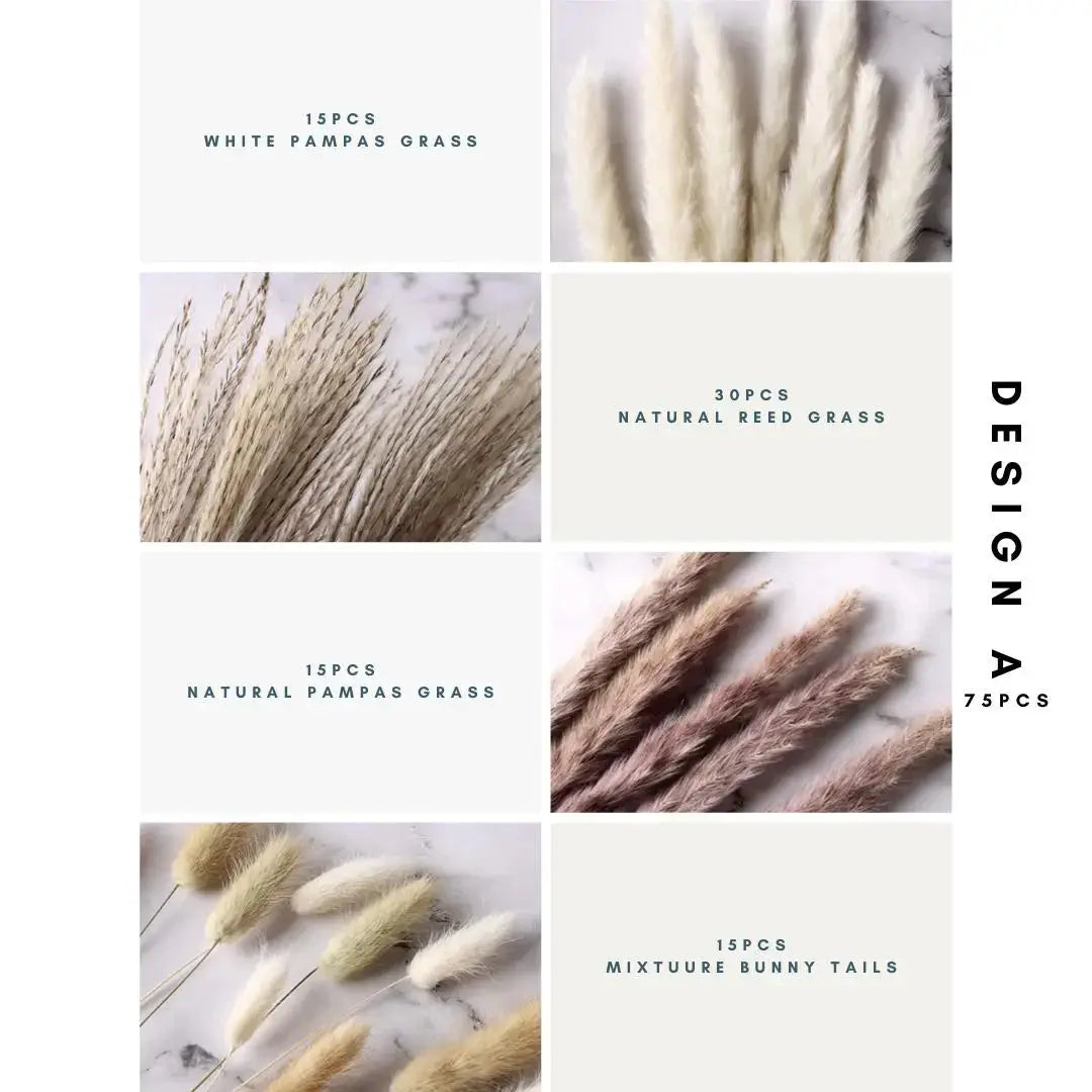 Natural Pampas Arrangement-Speckled Space