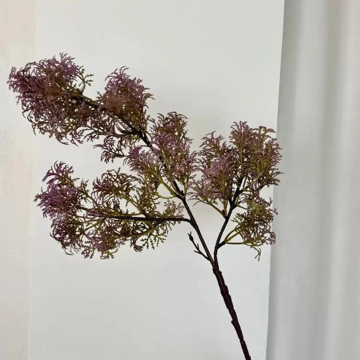 Faux Asparagus Macowanii Branch - Purple My Store