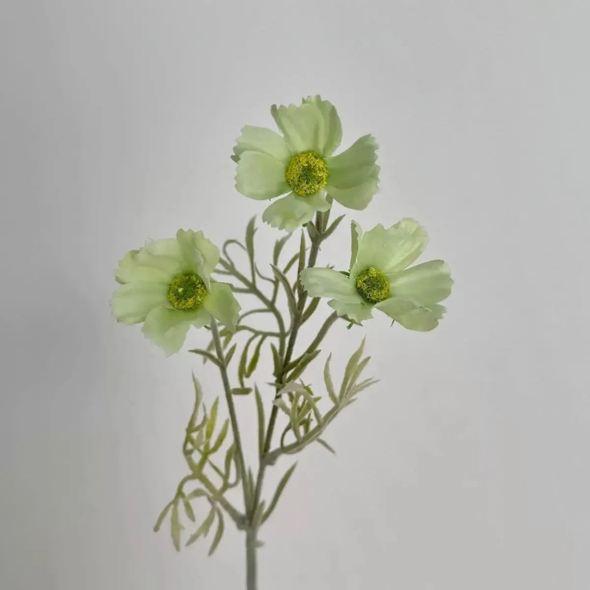 Faux Chrysanthemum Flower - Green My Store