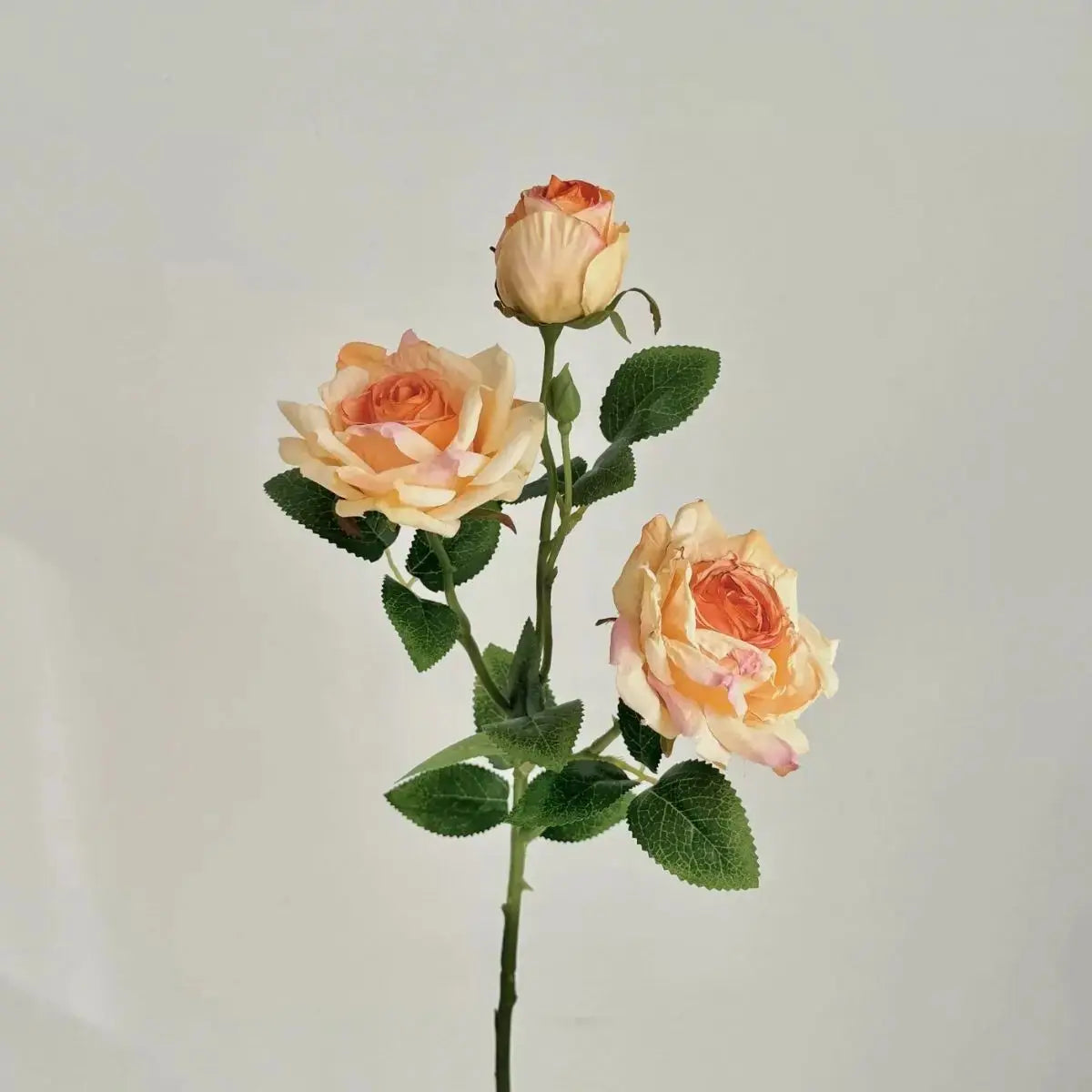 Faux Rose Flower - Champagne My Store