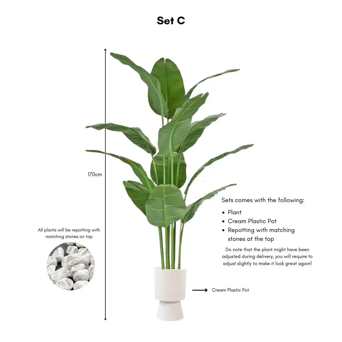 Faux Banana Leaf / Ravenala Plant - 160cm My Store