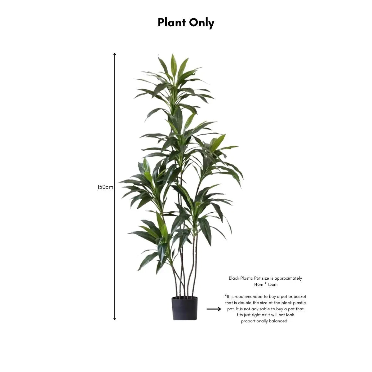Faux Dracena Swan Plant My Store