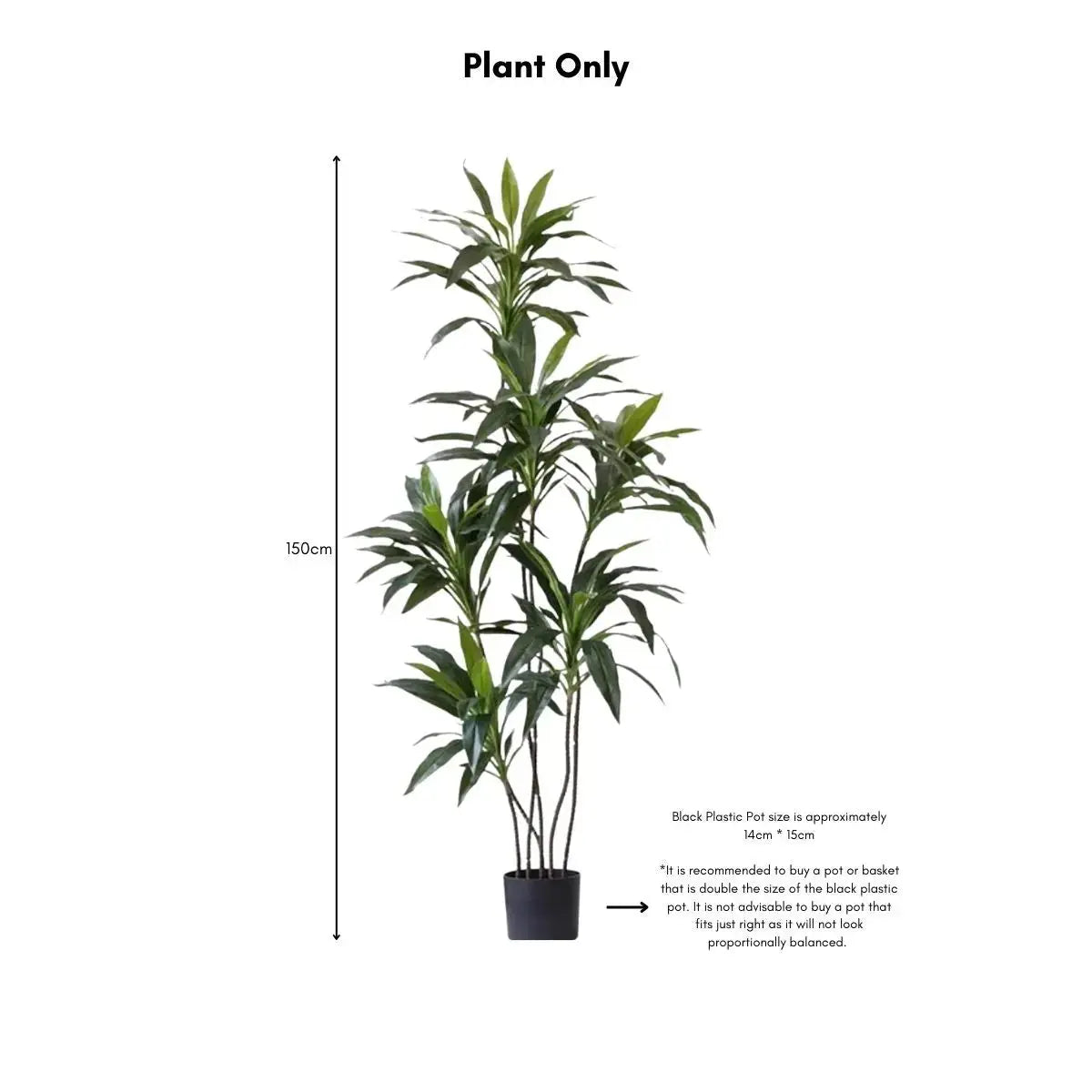 Faux Dracena Swan Plant My Store