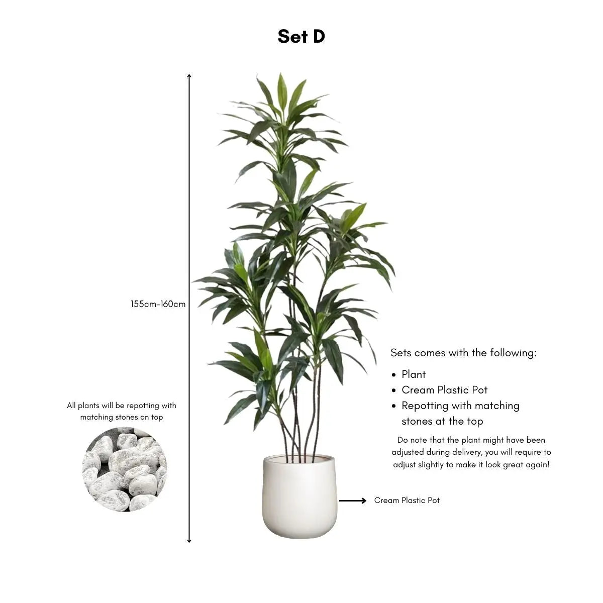 Faux Dracena Swan Plant My Store