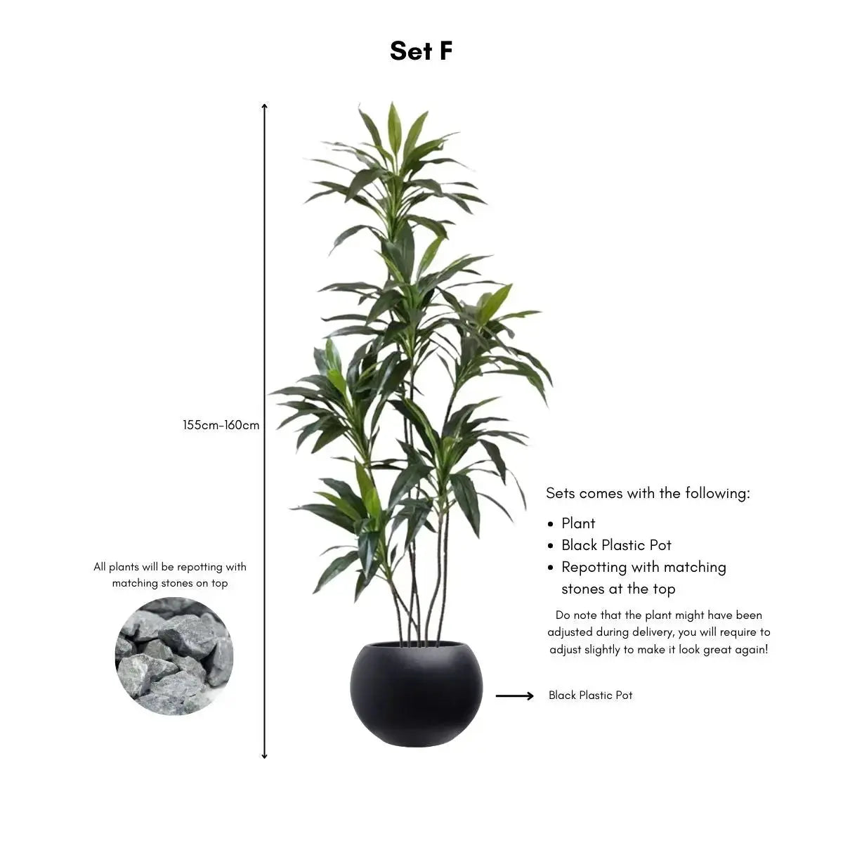 Faux Dracena Swan Plant My Store