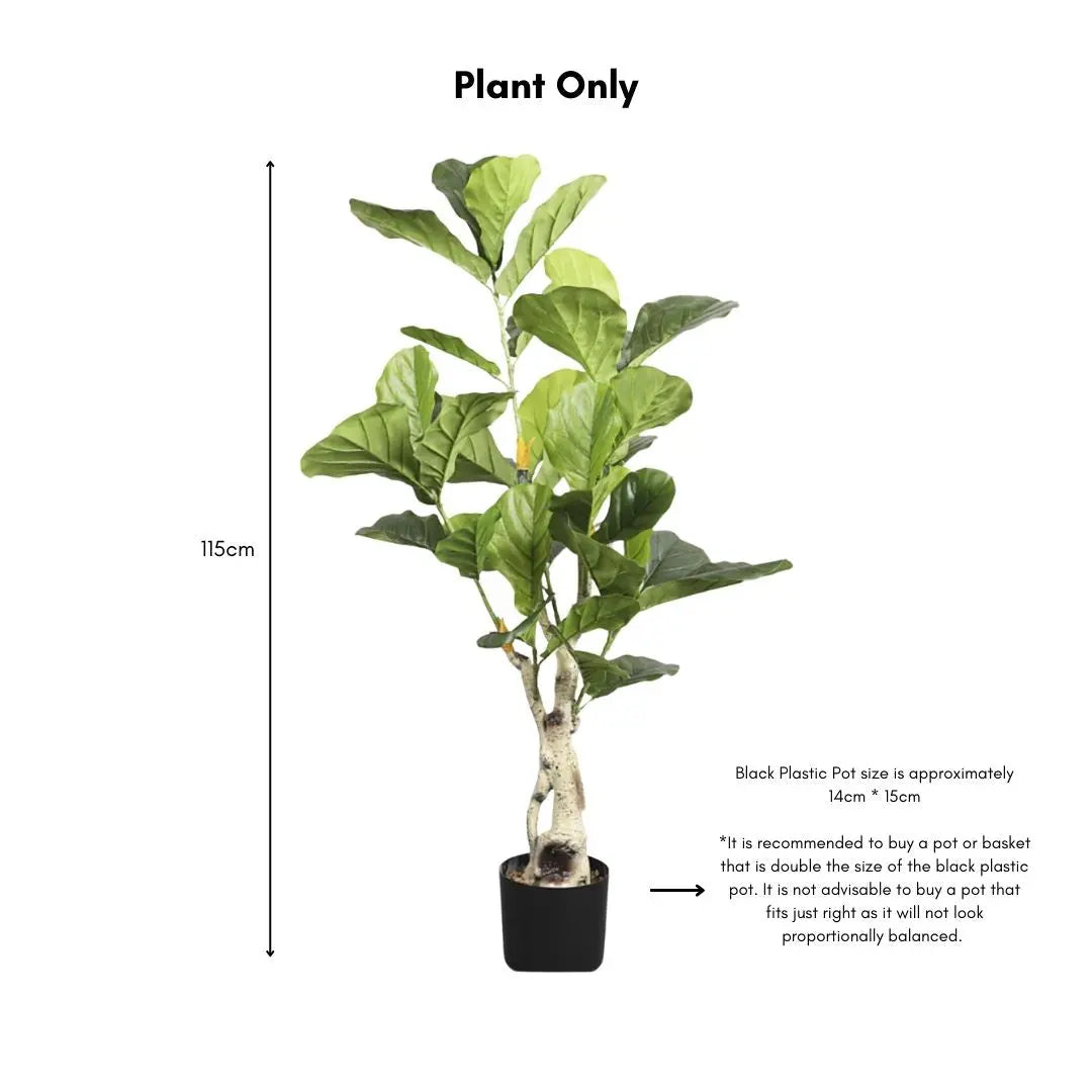 Artificial Ficus Plant - 115cm-Speckled Space
