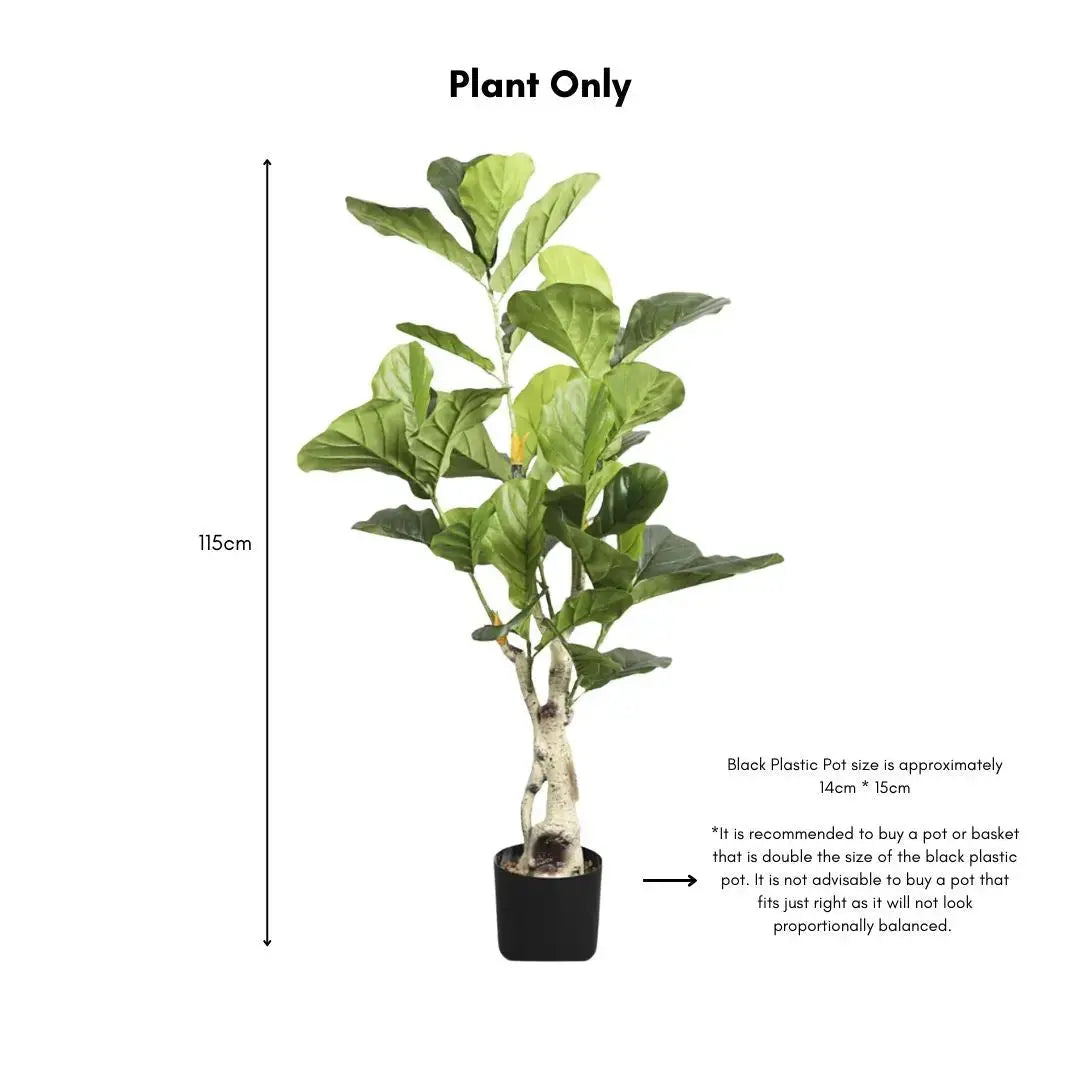 Artificial Ficus Plant - 115cm-Speckled Space