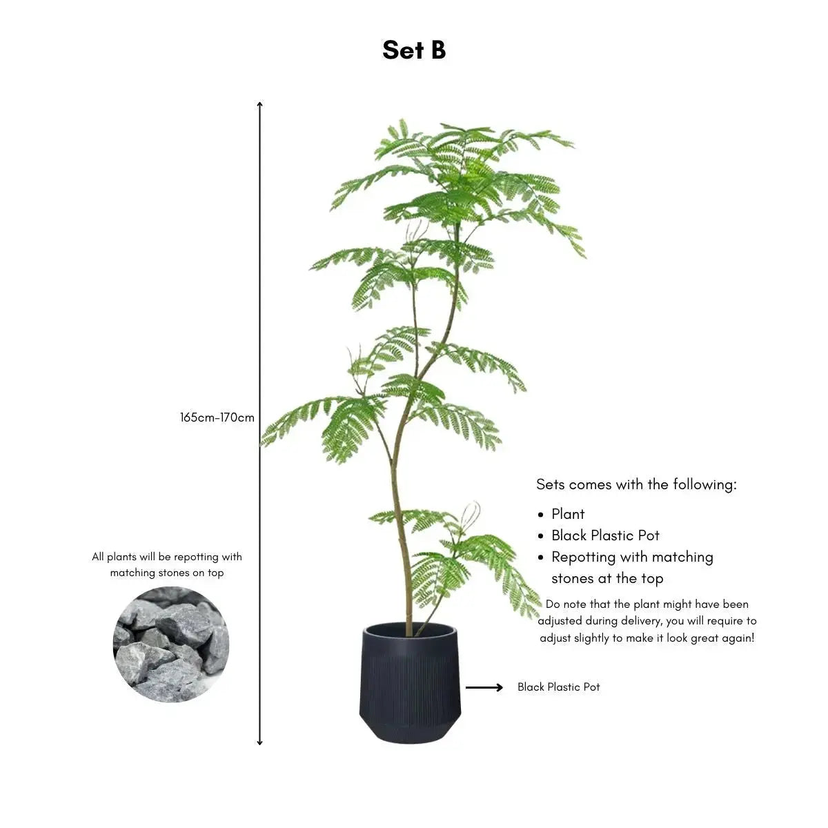 Faux Mimosifolia Tree My Store