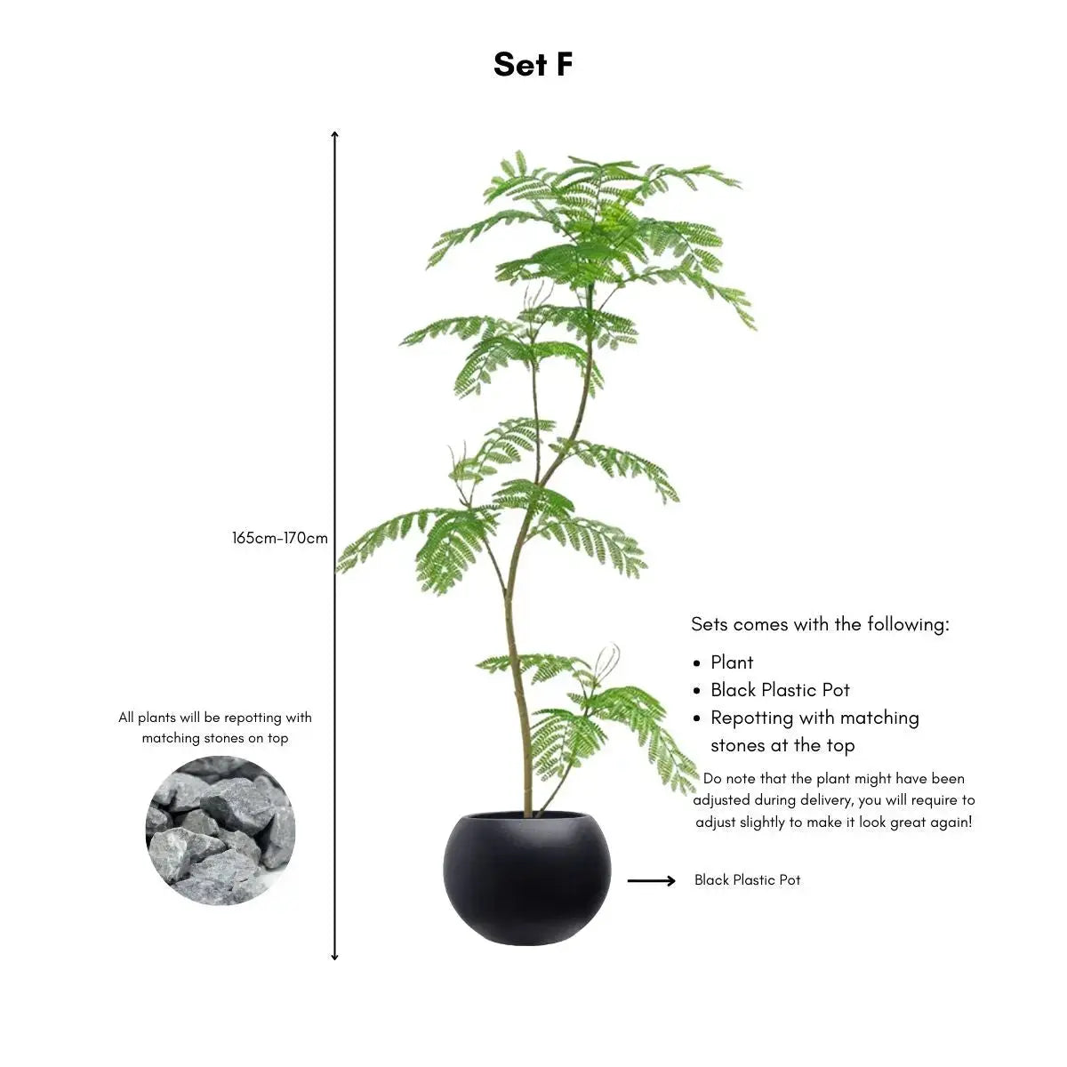 Faux Mimosifolia Tree My Store