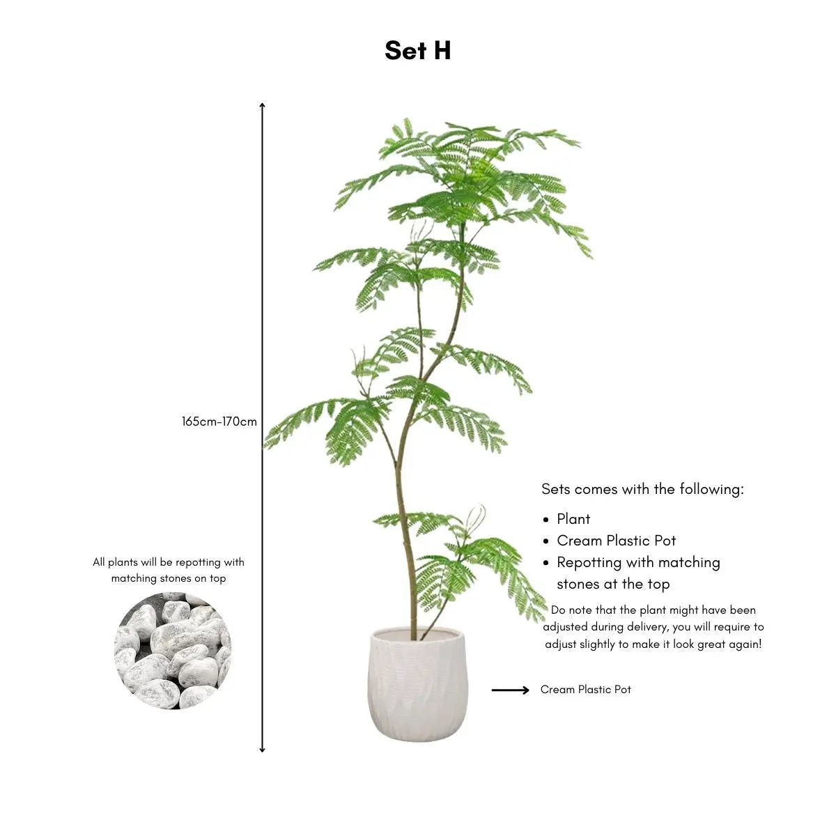Faux Mimosifolia Tree My Store