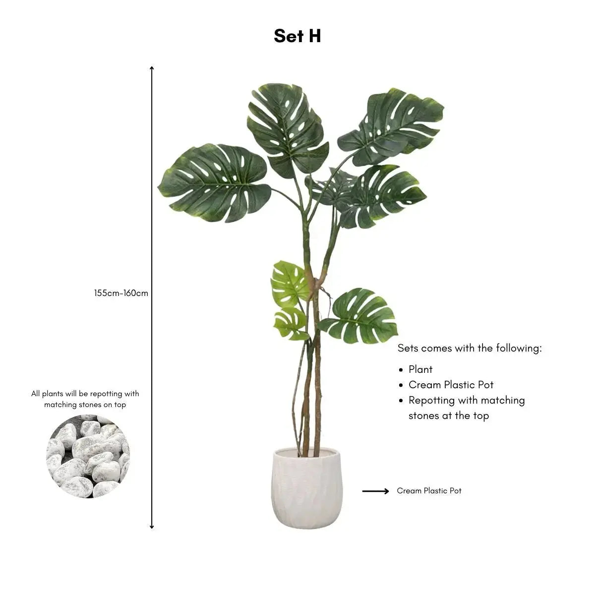 Faux Monstera Plant My Store