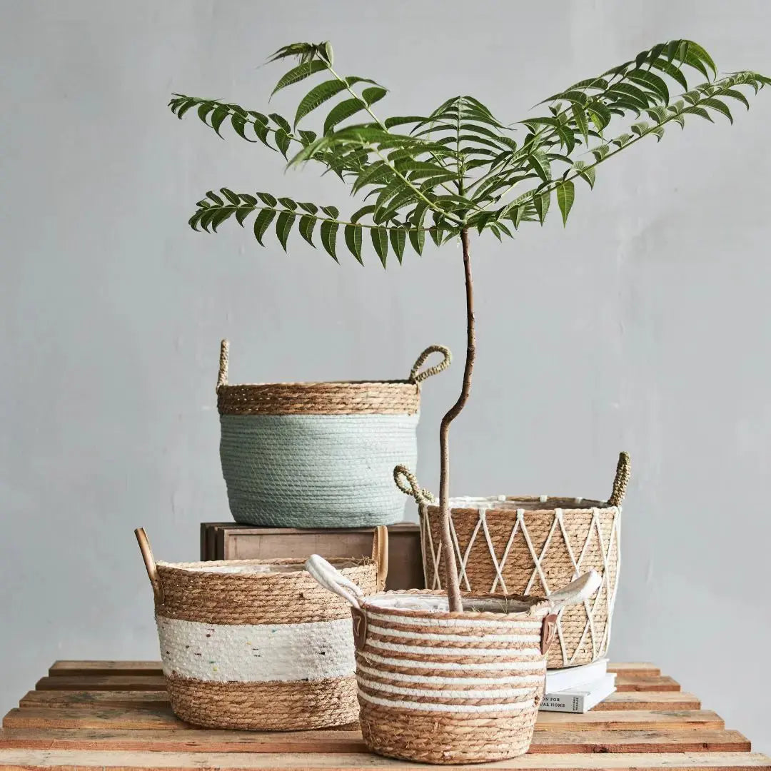 Magdalano Hand Made Seagrass Woven Plant Basket-Speckled Space