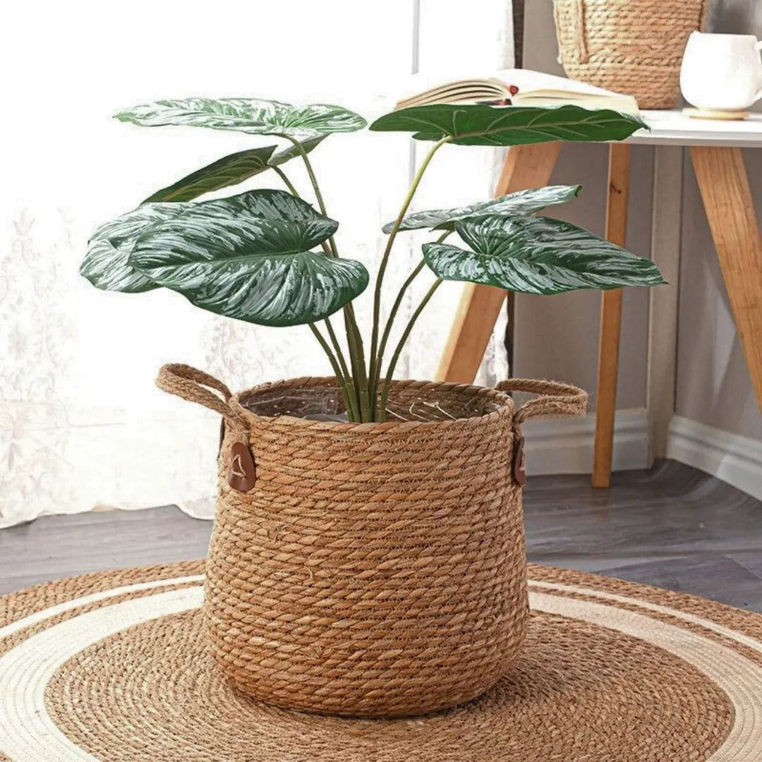 small woven plant basket Nathan Hand Made Seagrass Woven Plant Basket