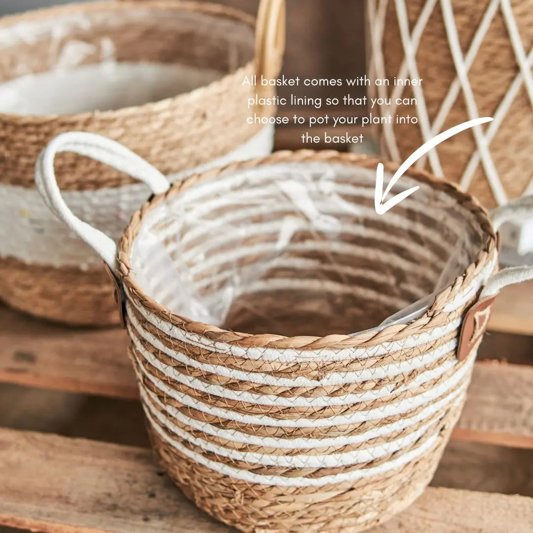 Olla Hand Made Seagrass Woven Plant Basket-Speckled Space
