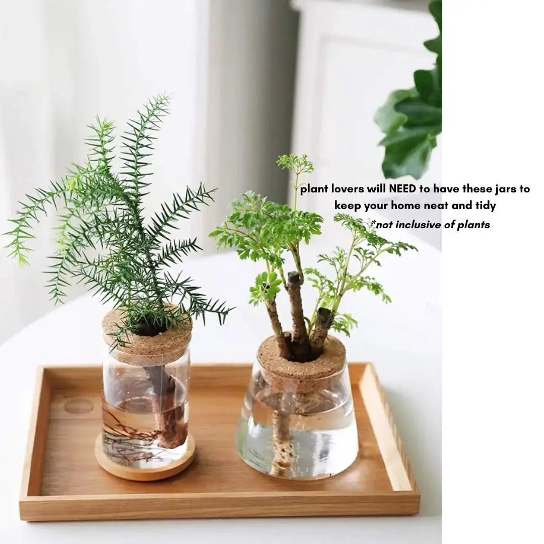 Plant Propagating Glass Jar-Speckled Space